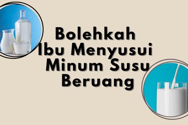 Bolehkah Ibu Menyusui Minum Susu Beruang