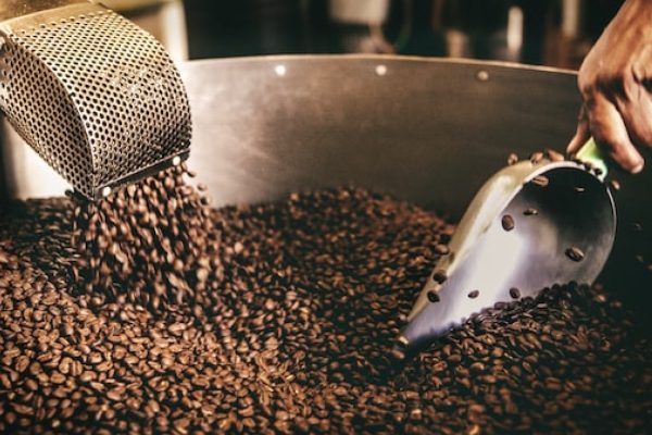 Perbedaan Proses Pembuatan Kopi Tradisional dan Modern Perbedaan Proses Pembuatan Kopi Tradisional dan Modern