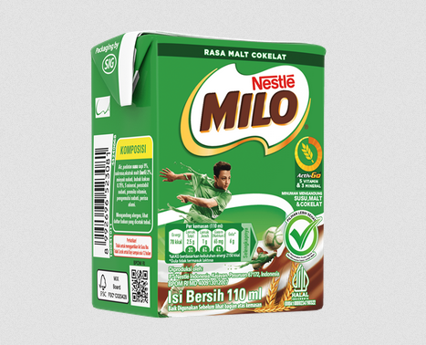 Solusi Praktis Asupan Gizi untuk Aktivitas Sehari-hari